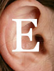 Ear Learning Modules